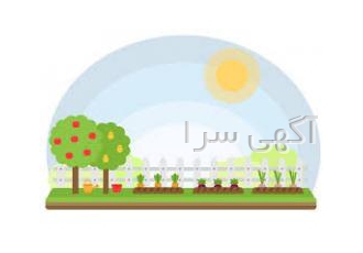 خانه ویلا / باغچه شهرک ناز فردیس کرج