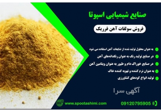 فروش لسیتین در تهران تولیدکننده و فروشنده لسیتین با بسته بندی 25 کیلویی
