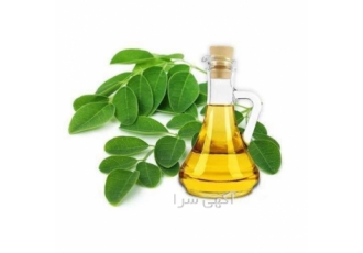 فروش روغن آرگان برند اینترفت و روغن مورینگا در تهران فروش روغن آرگان