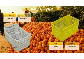 فروش سبد ۲۰ کیلویی پرتقال در ساری سبد پلاستیکی سبد پلاستیکی صنعتی سبد