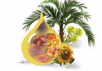 فروش عمده روغن گیاهی هسته پالم در اصفهان فروش روغن های گیاهی به صورت