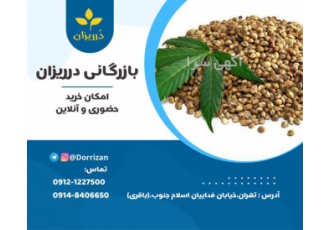 توزیع و فروش شاهدانه