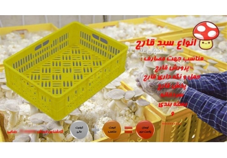 سبد قارچ در تهران انواع سبد قارچ در ابعاد 14 41 53 13 5 40 5 61 13 5 36