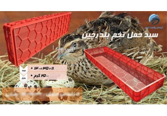 سبد حمل جوجه سبد حمل تخم بلدرچین در تهران سبد پلاستیکی سبد حمل جوجه