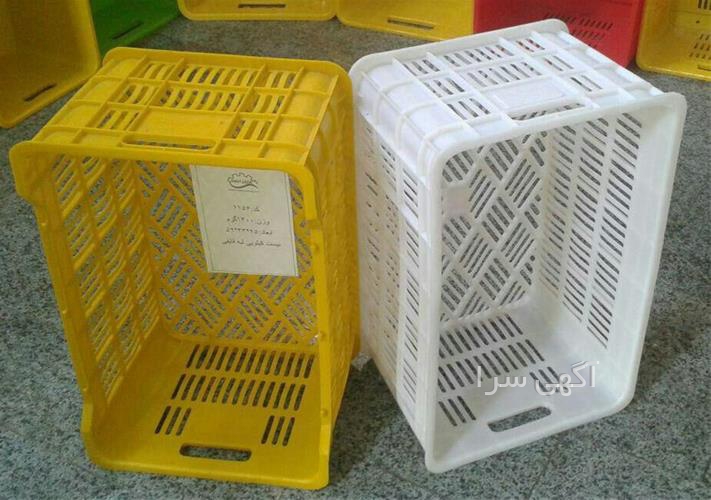 آگهی های خدمات بسته بندی - رودبار