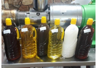 پخش عمده دانه کلزا و روغن کلزا در تهران دانه کلزا بوجار شده و بوجار