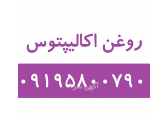 روغن اکالیپتوس در تهران فروش روغن اکالیپتوس روغن اکالیپتوس مصرف آرایشی
