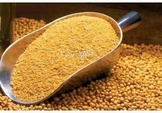 فروش کنجاله سویا آرژانتینی