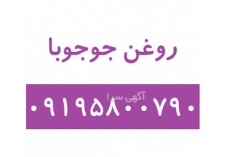 فروش روغن جوجوبا - روغن جوجوبا