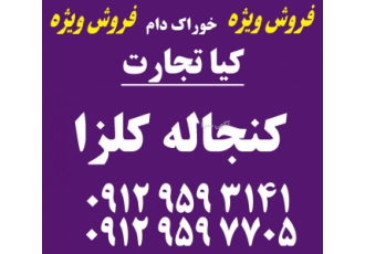 فروش کنجاله کلزا