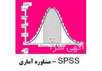 انجام پروژه های آماری در مقاطع کارشناسی ارشد و