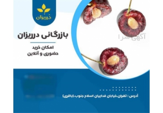 فروش مغز هسته آلبالو ، مغز هسته آلبالو