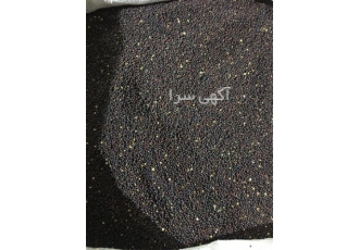 فروش دانه کلزا در تهران فروش دانه کلزا به صورت کیلویی و تناژ مناسب روغن