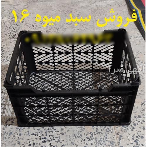 آگهی های خدمات بسته بندی - جیرفت