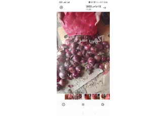 فروش پیاز قرمز و پیاز زرد ، تناژ بالا و بدون واسطه