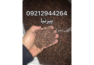 هسته انگور و روغن هسته انگور در تهران ♨️فروش ویژه ✅هسته انگور ابگیری ✅