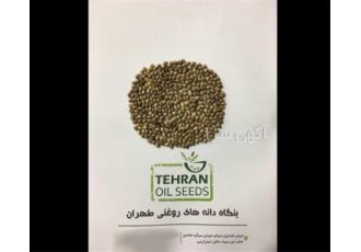 فروش شاهدانه پخش دانه های روغنی و روغن های گیاهی در تهران فروش شاهدانه