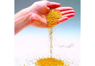 فروش گلوتن ذرت