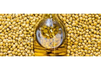 فروش روغن سویا تصفیه شده با بهترین کیفیت و قیمت در کرج شرکت ابتکار شیمی