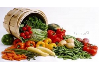 صفر تا صد آموزش پرورش صیفی جات جامع و کامل