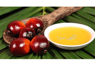 تامین کننده روغن ها فروش عمده روغن پالم کرنل در تهران فروش مستقیم
