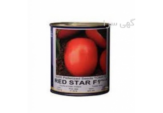 فروش بذر گوجه رد استار RED STAR عمده و خرده در سنندج بذر گوجه فرنگی