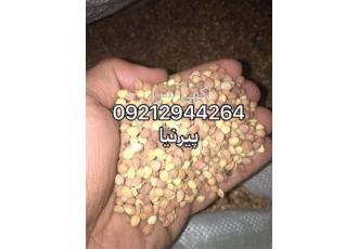 مغز هسته آلبالو و روغن هسته آلبالو در تهران ✅♨️فروش ویژه ✅عمده و جزیی ✅