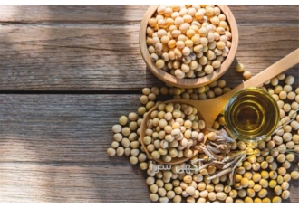 روغن سویا فروش ویژه دکاموند شیمی در تهران روغن سویا خوراکی با کیفیت