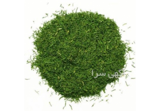 فروش شوید نرم درجه یک در تهران شوید نرم درجه یک با قیمت مناسب با تضمین