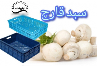 سبد قارچ و بسته بندی