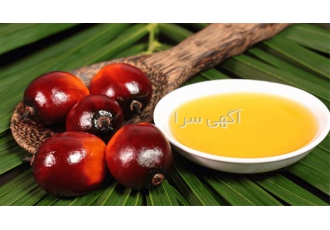 تامین کننده روغن های گیاهی - قیمت رقابتی روغن پالم
