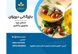 فروش دانه جوجوبا برای روغن گیری
