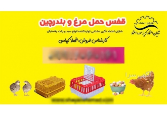 فروش ویژه قفس حمل مرغ زنده با بهترین کیفیت در قزوین قفس حمل مرغ قفس حمل