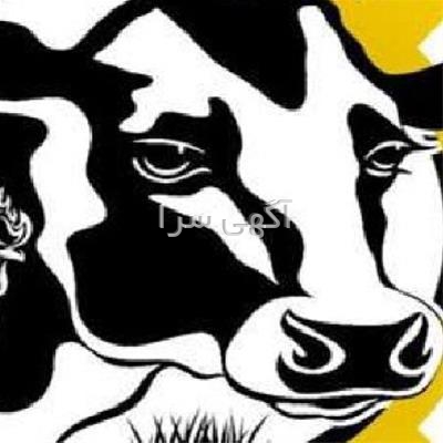 آگهی های دامداری - اهواز