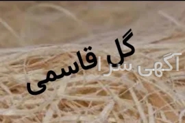 آگهی های سایر موضوعات - تبریز