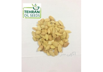 فروش مغز دانه آرگان و فروش روغن آرگان