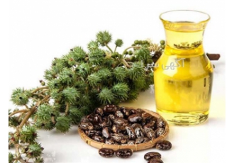 فروش روغن کرچک خالص