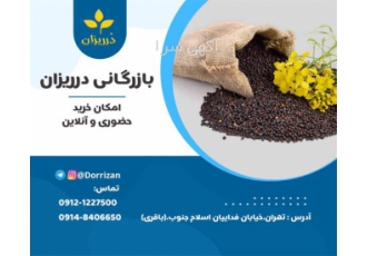 فروش دانه کلزا بوجاری و روغن کلزا در تهران باززرگانی درریزان باقری فروش