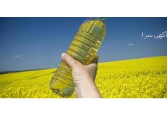 فروش روغن کلزا به صورت فله ای با کیفیتی مطلوب در مشهد شرکت ابتکار شیمی
