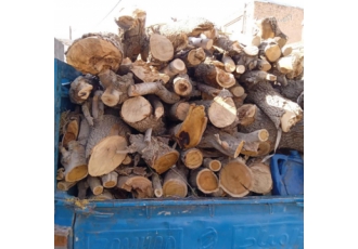 خریدار چوب درخت خرید چوب خریدار چوب باغی خریدار چوب م فقط تهران و کرج