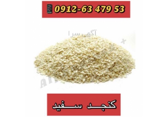 قیمت عمده کنجد پاکستان - کنجد روغنی ، کنجد سفید