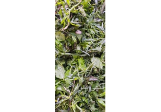 سبزی خوردن پاک شده