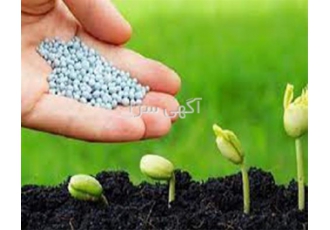 اوره کند رهش