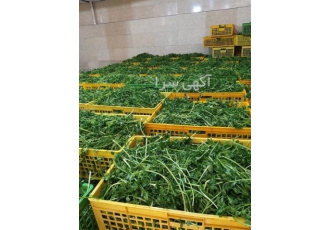 شرکت پخش سبزی - فروش سبزی پاک شده و شسته شده
