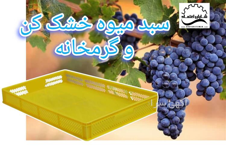 آگهی های خدمات بسته بندی - سنندج