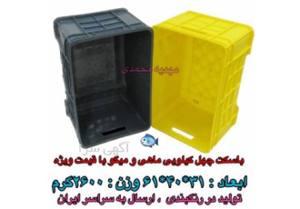 فروش سبد ماهی ،باسکت 40 کیلویی با قیمت مناسب