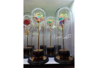 انواع گل های فلکسی در اصفهان انواع گل های فلکسی طلایی و هفت رنگ و دختر