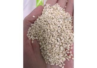 فروش کنجد و عرضه مستقیم کنجد دسته ی اول در تهران کنجد اصل ایالت پنجاب