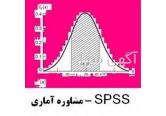 مشاوره در انجام تحقیقات پیمایشی با spss در تهران مشاوره در انجام نگارش