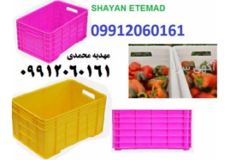 سبد و جعبه حمل و بسته بندی فلفل دلمه